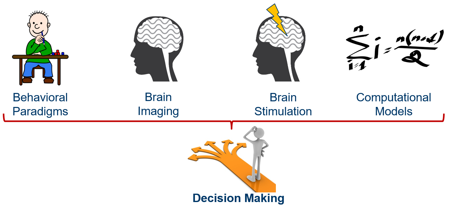 eth neuroscience zrich